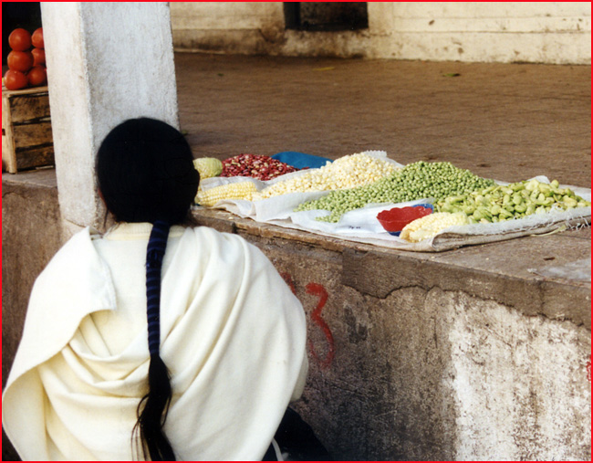 Equateur marchande legumes Otavalo