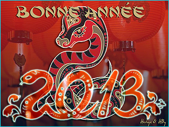 annee du serpent d eau 2013