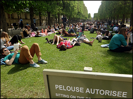 pelouse printemps Paris luxembourg