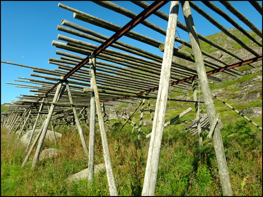 claies a morues Lofoten