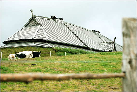 ferme viking Lofoten