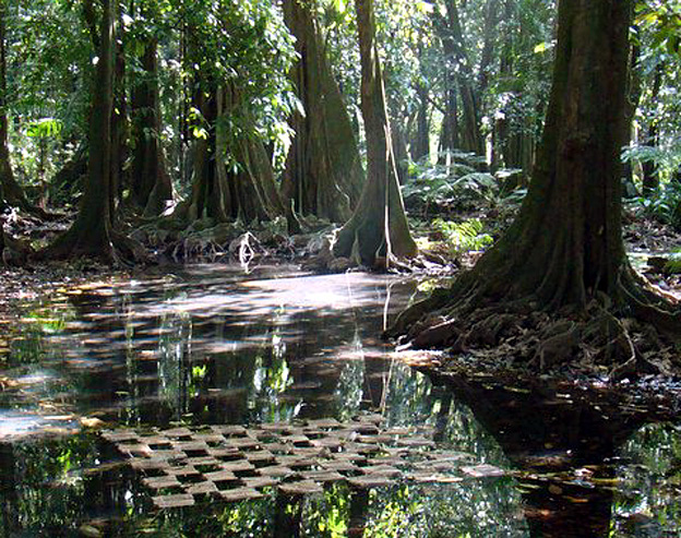 papeari oeuvre artiste expo jardin botanique