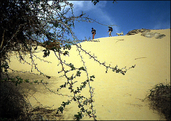 bord du désert egypte