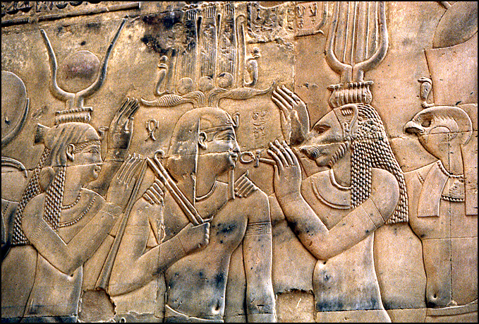 kom ombe bande dessinee