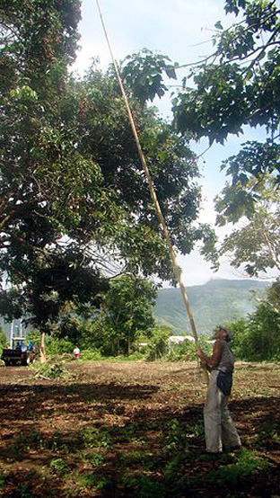 MITI RAPA DEC 2013 JEFF