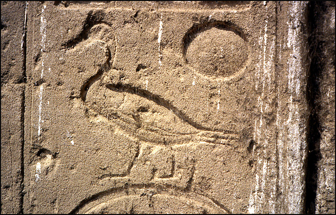 canard hieroglyphe
