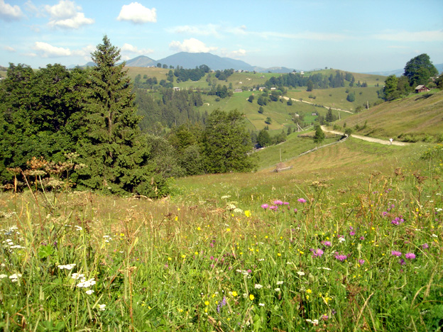 montagne de verkhovina ukraine