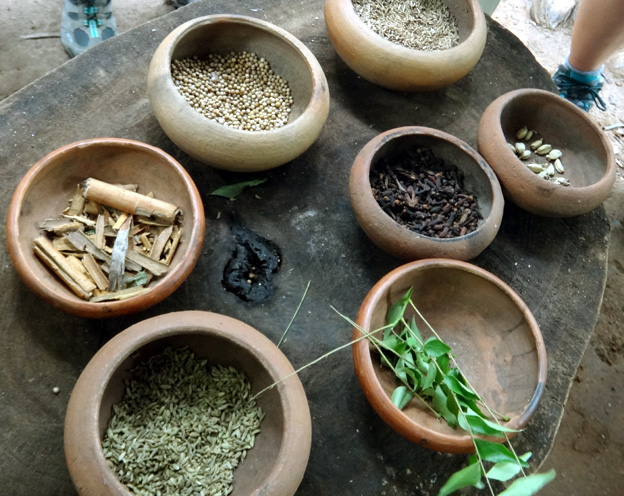 curry ingredients naturels sri lanka