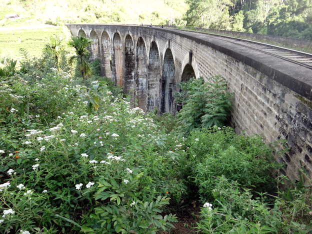 ella pont aux 9 arches chemin de fer sri lanka
