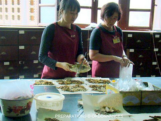 PREPARATRICES D ORDONNANCES