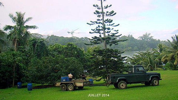 PAPEARI JUILLET 2014