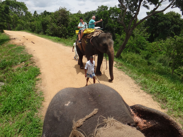 elephant promenade sri kanka
