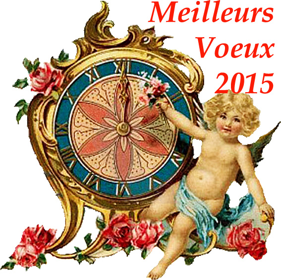 argoul voeux 2015