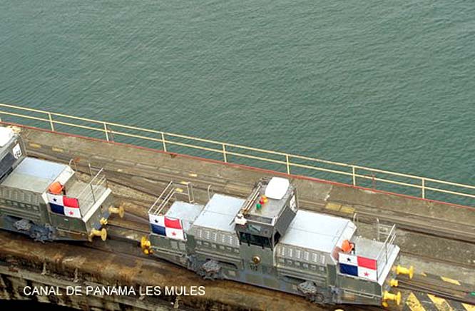 panama canal les mules