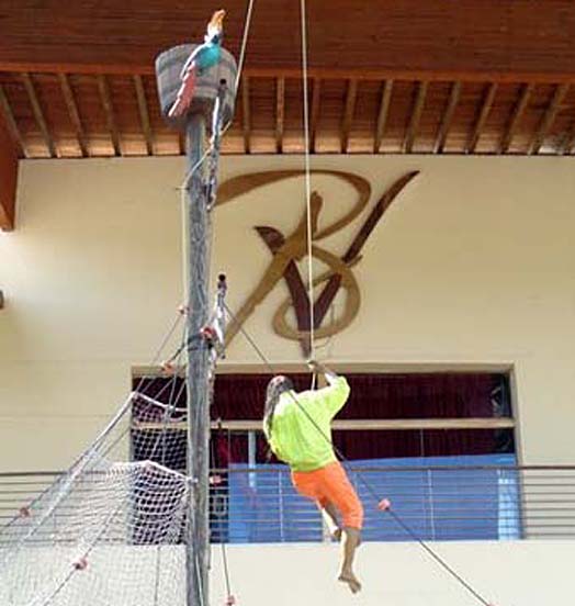 puerto vallarta acrobatie