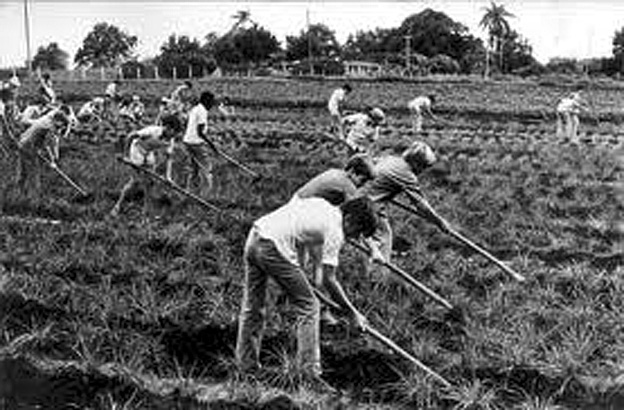 escuela al campo cuba