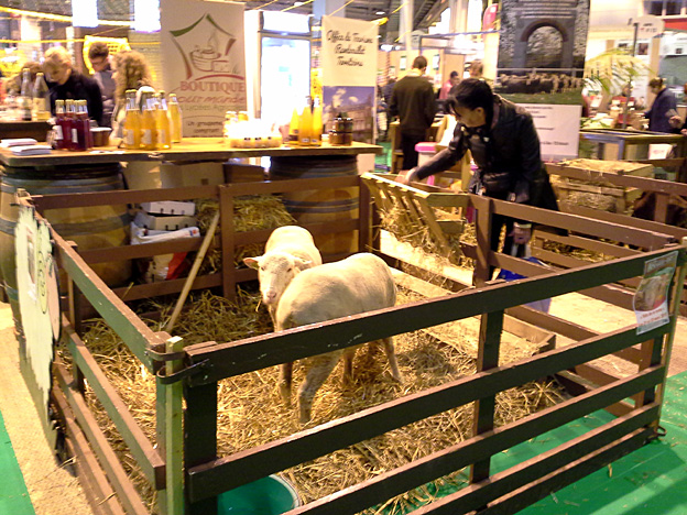 salon destinations nature 2015 2 moutons