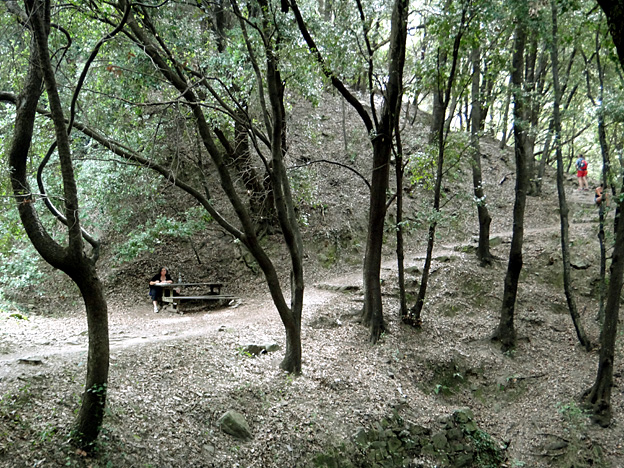 levanto ivresse d ecrire