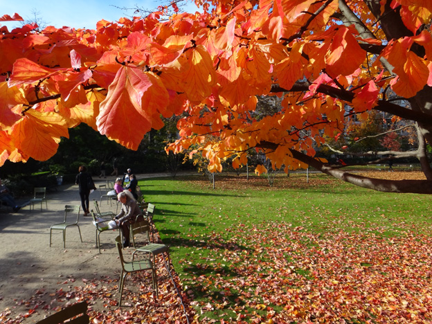 automne paris luxembourg