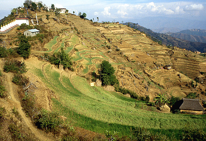 nomobuddha terrasses nepal