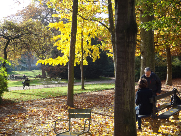 paris jardin du luxembourg automne