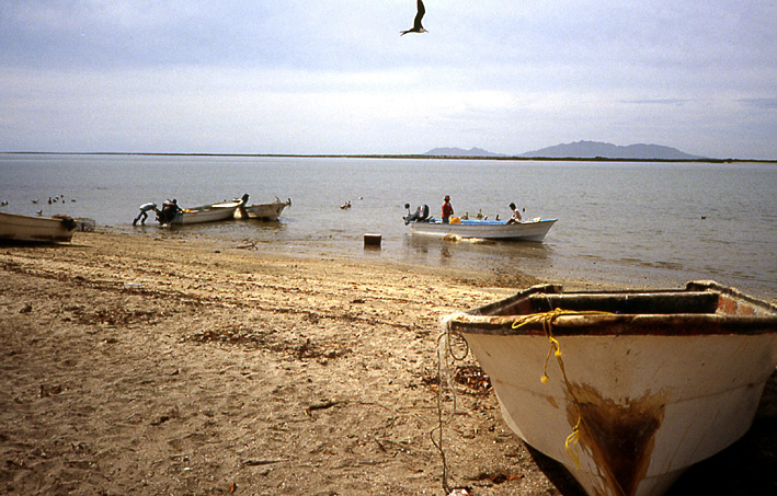 barques de pecherus Basse Californie