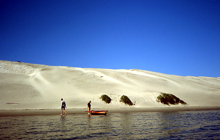 dune pacifique Basse Californie