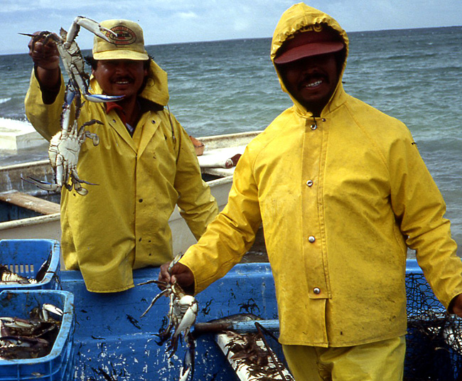 peche Basse Californie