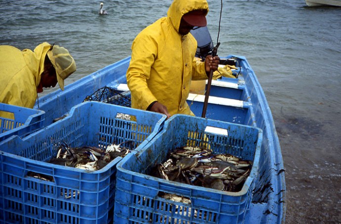 pecheurs de crabes Basse Californie