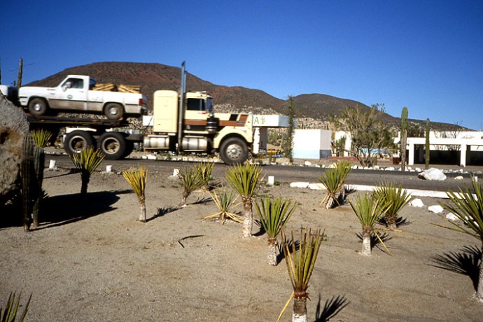 trucks Basse Californie