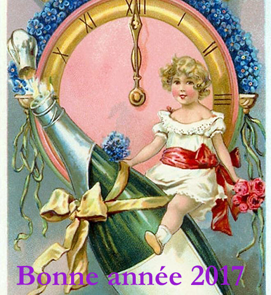 bonne-annee-2017