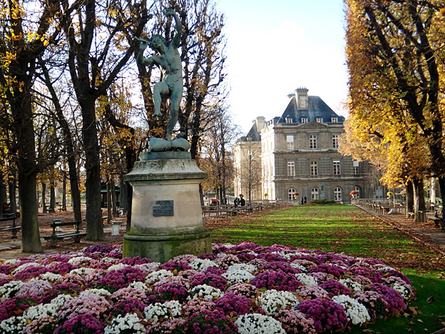 paris-luxembourg-faune-dansant